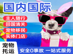 海口美兰机场托运国际宠物托运 【国
